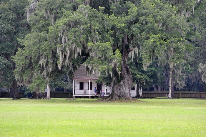 Middleton Plantation