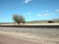 Danby CA