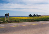 Cambria CA