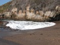DSCN2788