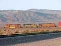 Ludlow CA