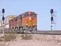 Ludlow CA