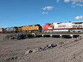 Ludlow CA