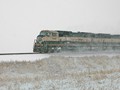 DSCN1105