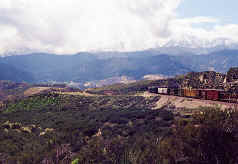 gardenb.jpg (89242 bytes)