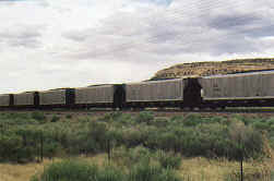 Gallup NM