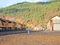 Dunsmuir