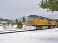 _DSC8242