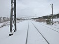 DSCN4325