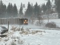 DSCN4333