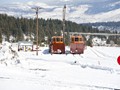 Truckee