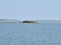 _DSC1898