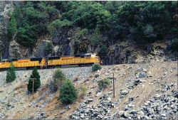 UP4549.jpg (98268 bytes)