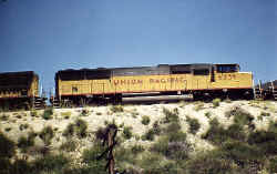 UP6239.jpg (238519 bytes)