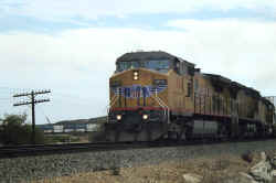 UP9816.jpg (80827 bytes)