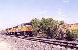 up4342.jpg (100499 bytes)