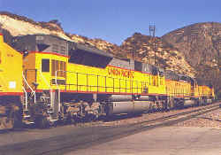 up8101.jpg (87995 bytes)