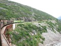 DSCN2206