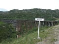 DSCN2211