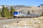 Amtrak