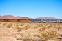 Amtrak