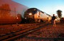 Amtrak