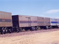 AMTrailb